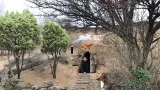 Building a Cozy Clay Shelter, Warm Survival Stove