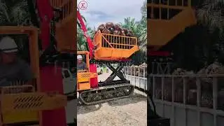 Grabber type of crawler dumper