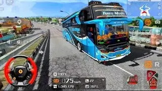 Rombongan Pariwisata Bus Basuri TUAN MUDA‼️ Bus Basuri Simulator Indonesia 