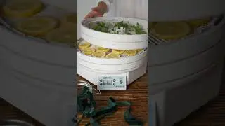 DIY Cocktail Infusion Kits