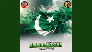 Dil Dil Pakistan