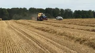 Pressage de paille 2019 TM175 BB9090