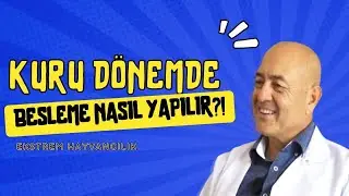 KURU DÖNEMDE BESLEME NASIL YAPILIR | EKSTREM HAYVANCILIK