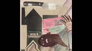 Cardinal & Nun - Lost