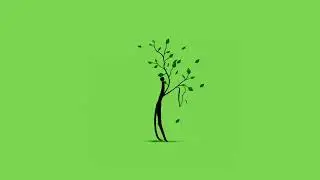 nature-based minimalist artwork in green and blue screen | copyright free template | HD quality