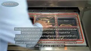 Revolutionizing Packaging: The Rise of Biodegradable Solutions