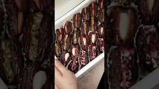 Gift box 🎁 | Dates | Al Raiqa | abudhabi