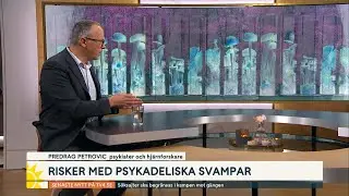 Kan psykedeliska svampar hj&auml;lpa mot depression? | Nyhetsmorgon | TV4 & TV4 Play