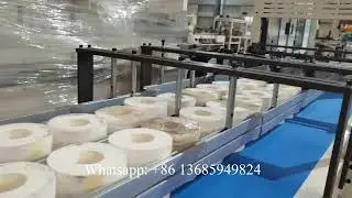 Good price automatic 20 rolls toilet paper packaging machine