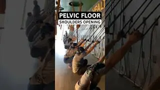 Pelvic floor opening, strong shoulders, arm strength @yogatute #pelvic #shoulder #shoulderworkout