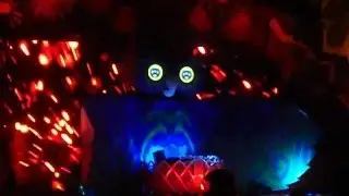 My Electric Daisy Carnival Experience 2012/2013