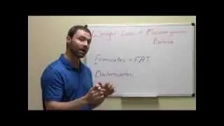 Weight Loss and Gut Bacteria Balance