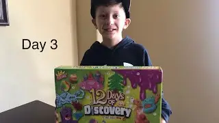 Day 3 (Grow a Crystal Tree) 12 Days Of Discovery Science Experiments