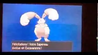 Evolution Sapereau Shiny - Excavarenne (Diggersby)