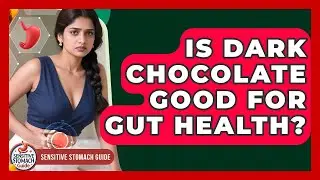 Is Dark Chocolate Good For Gut Health? - Sensitive Stomach Guide
