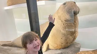 Tring Natural History Museum | Shelby&rsquo;s Dream Life