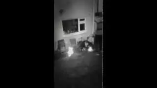 BBQ Disaster