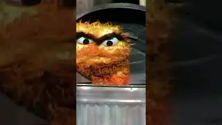 Meet Orange Oscar #sesamestreet