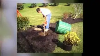 Phoenix, AZ Landscaping Services - Reasons You Should Hire a Landscape Designer