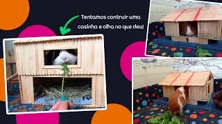 VLOG DIY - Construindo uma casinha para porquinho da índia com palitos