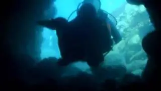 St. Lucia Coral Reef Swim Through