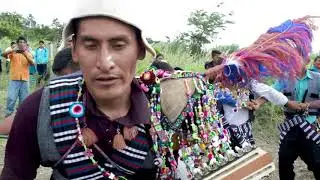 CAMINANTES DE CALIZAYA - 2020_ Cholita Basilia
