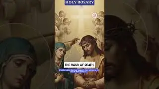 Pray the Daily Rosary with Mama Mary ❤️ January 30, 2026