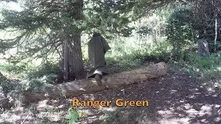OD Green против Ranger Green Новый цвет HD Poncho