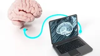 Could you upload your consciousness to a computer? | Mitchell Green