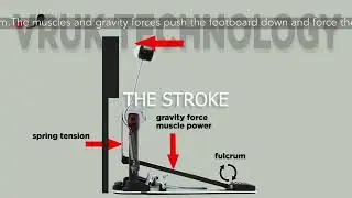 THE FORCES AFFECTING THE BASS DRUM PEDAL MOTION