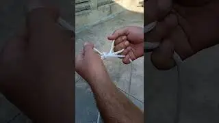 Knot Skill that Everyone Should Know 20 #trending #ytshorts #knots #viral
