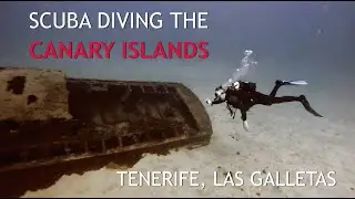 Underwater Adventure in Tenerife &ndash; Diving the Canary Islands