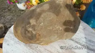 Сокровища конкреций