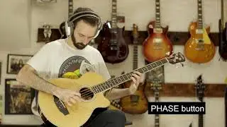 Washburn AB5
