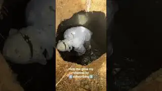 repairing an old septic tank #shorts #repair #old #tank #plumbing #ytshort
