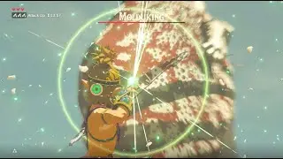 BotW - [Master Mode] Molduking speedrun in 7.8 seconds