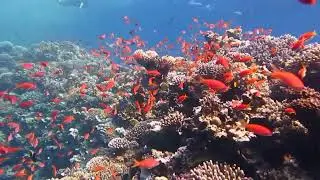 Blue Hole