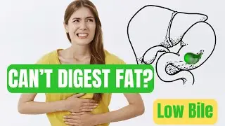 SIBO & Low Bile Flow: The Fat Digestion Link to Relapse