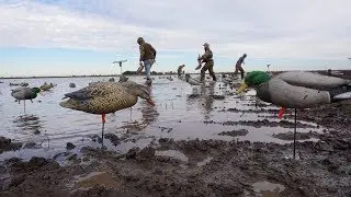Ducks Love the Goose Call!! Opening Day Kansas Duck Hunting 2018
