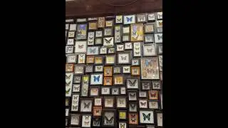 Butterfly wall in a restaurant🇦🇺 interesting #butterfly #Wall art￼# interior design #handmade ￼￼