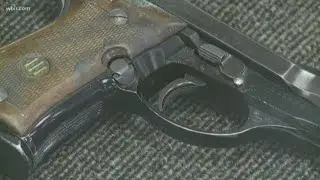 Monroe Co. becomes Second Amendment Sanctuary