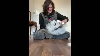 Fursuit unboxing!