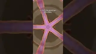 Kaleidoscope Trend🍥