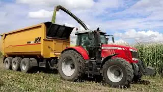 Claas Jaguar 990 plus MF 7724 mit USA 2000CF Abschiebewagen.