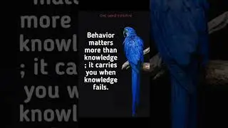 Behaviour shapes how we apply knowledge and handle challenges