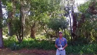 Orange Blossom Home Inspection LLC