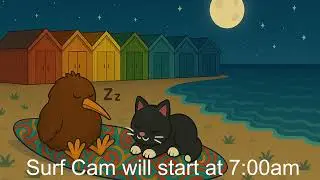 Titahi Bay surf cam live