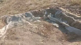 Bee flora and dangerous grass for honey bees in Rajasthan.