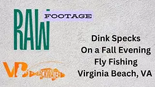 Late Fall Virginia Beach Fly Fishing (Dink Trout Raw Footage)