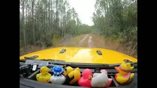 Jeep Ride through Tiger Bay State Forest